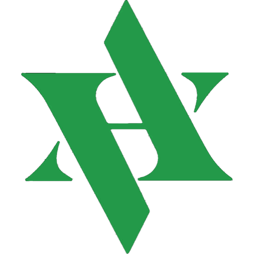 AMENI Digital logo